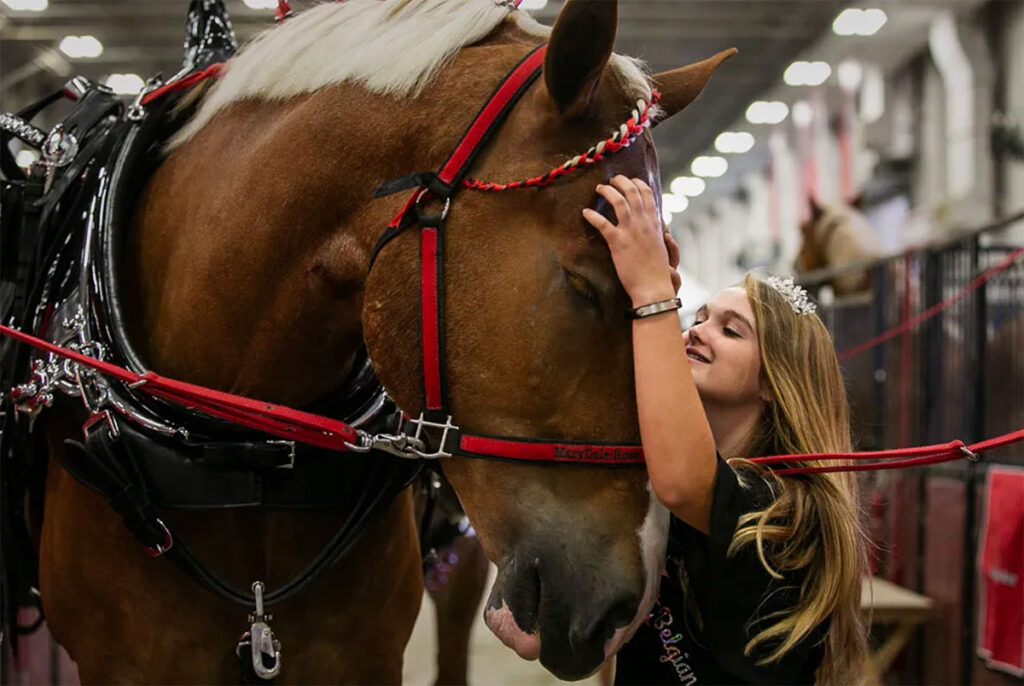 young woman petting the head of a horse