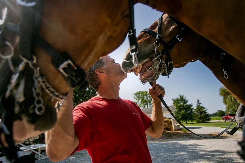 man with two draft horses