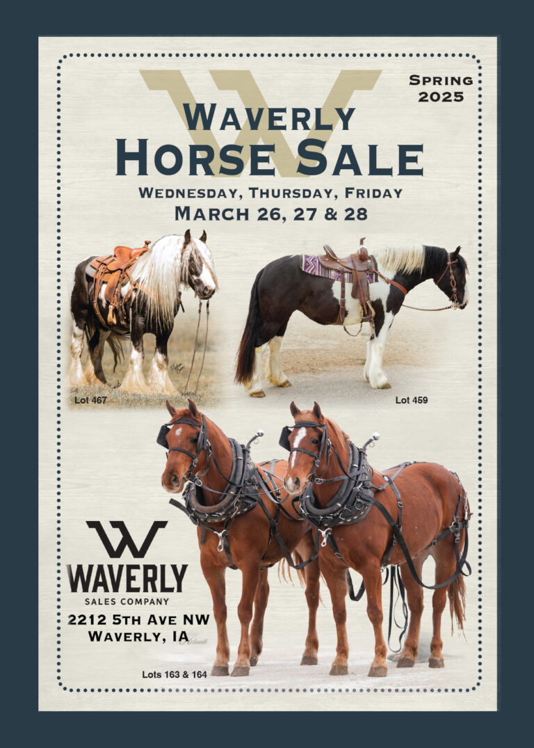 Current Auction Waverly Sales Company Horse Sales & More