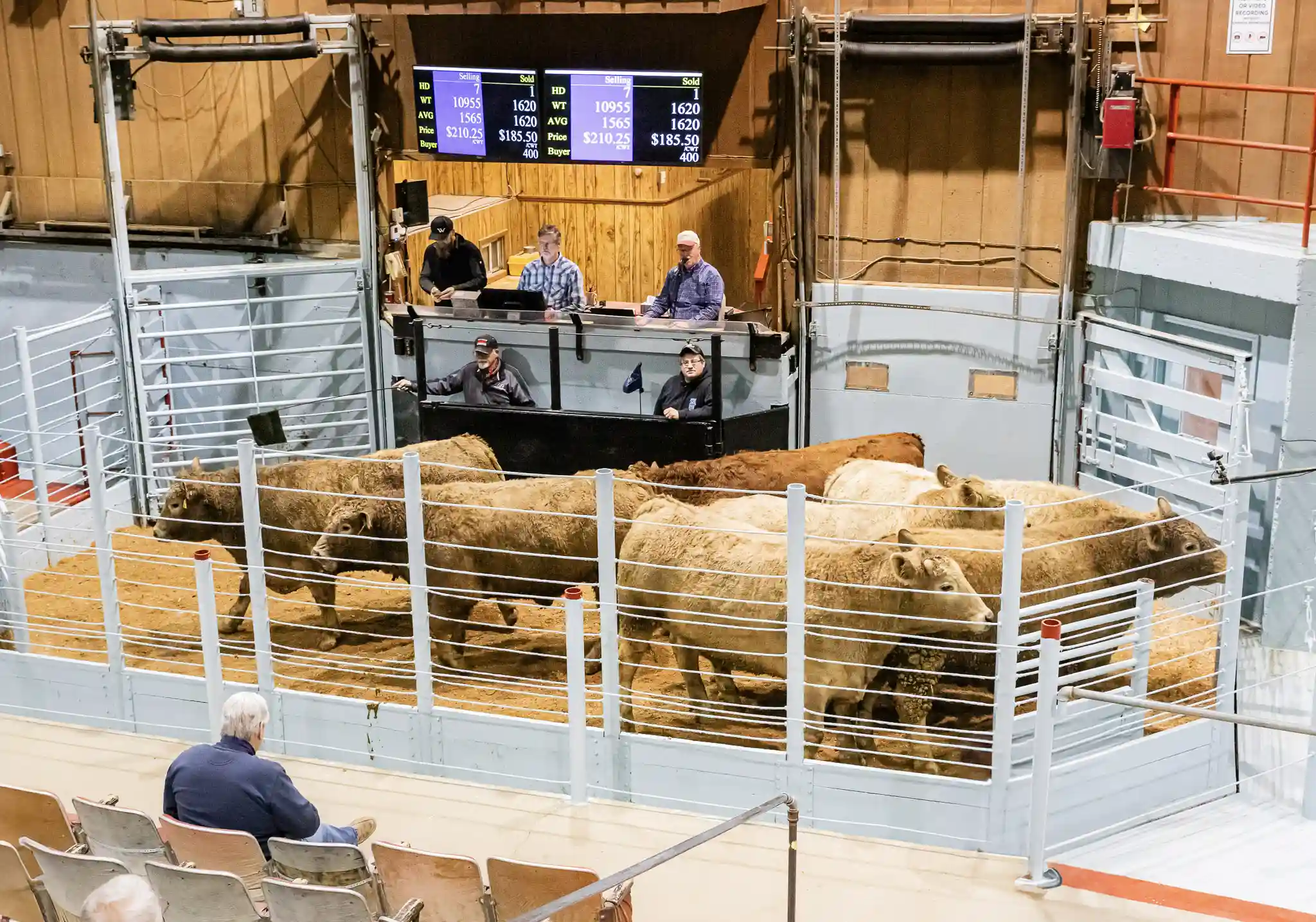Cattle Sales - Waverly Sales